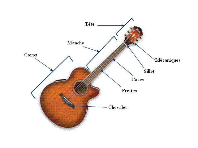 Les différents types de guitares en fonction des cordes et chevalets